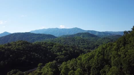 Pájaros-Volando-Sobre-Un-Exuberante-Bosque-Verde-En-Las-Grandes-Montañas-Humeantes-En-Tennessee,-Estados-Unidos