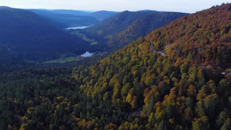 Aerial-view-of-beautiful-orange-foliage-forest-and-far-away-lakes-during-fall-season-in-the-Vosges-french-mountain