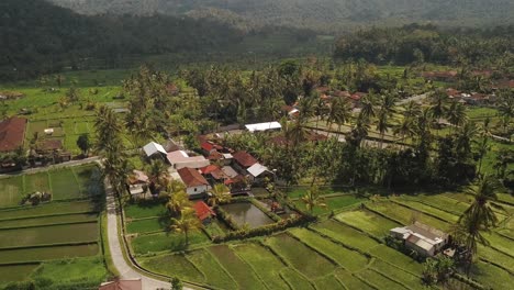 Drohnenflug-Mit-Langsamer-Kameraneigung-Nach-Oben-über-Die-Reisfelder-Von-Tirtagannga,-Bali-Indonesien-4k