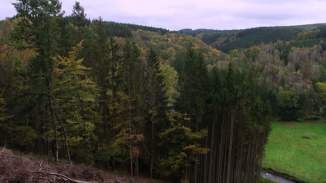 Beautiful-Scenery-Of-Dense-Vegetations-In-Forest-Mountain-Near-Houffalize,-Belgium