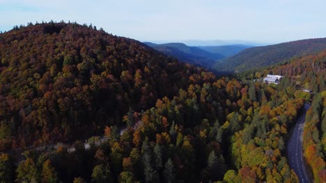 Aerial-view-of-beautiful-orange-foliage-forest-during-fall-season-in-the-Vosges-french-mountain