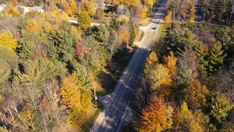 Aerial-of-Lush-woods-in-prime-colors-near-Hoffmaster-in-Muskegon,-MI