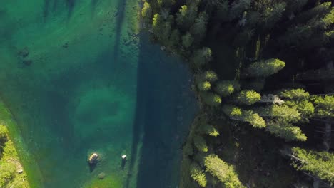 drone-shot-looking-down-over-the-edge-of-trees-and-water-of-Lake-Carezza-in-the-Dolomites,-Italy-4k