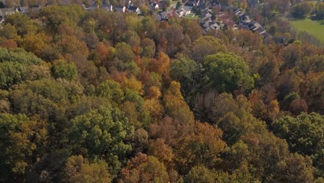 Autumn-and-fall-trees-in-the-suburbs-the-midwest