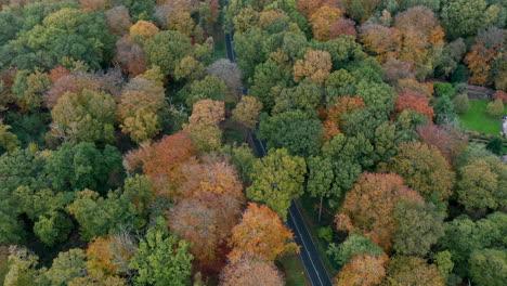 An-aerial-view-of-a-road-running-through-dense-woodland-with-trees-in-full-autumn-colour,-Worcestershire,-England