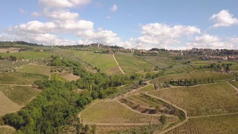 circulair-flying-droneshot-over-grape-fields-in-Tuscany,-Italy-4k
