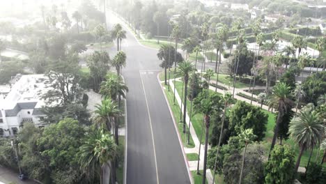 Drone-shot-flying-over-palm-trees-and-a-street-in-Beverly-Hills,-Los-Angeles
