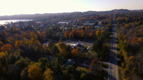 High-aerial-of-leaves-changing-colors-in-Late-Autumn