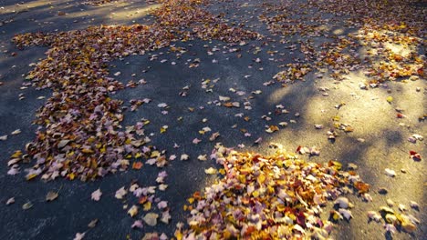 Im-Herbst-Gefallene-Blätter,-Die-Sanft-Wehen-Und-über-Den-Boden-Rascheln