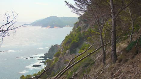 Forest-Of-Mountain-Cliff-With-Rocky-Shoreline-And-Seascape-In-Costa-Brava,-Catalonia,-Spain