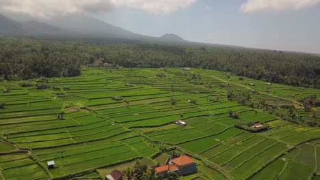 drone-shot-large-circulair-motion-over-the-ricefields-paddies-of-Tirtagangga,-Bali-Indonesia-with-white-birds-flying-over-in-4k