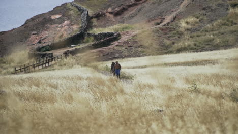 People-walking-through-golden-field-with-tall-grass-in-foreground,-slow-motion