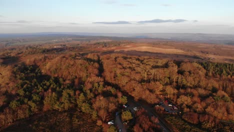 Aerial-Over-Autumnal-Woodbury-Common-Heathland-Bathed-In-Afternoon-Sun