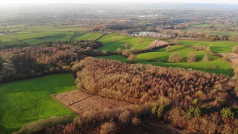 Luftbild-über-Dem-Idyllischen-Woodbury-Common-In-East-Devon