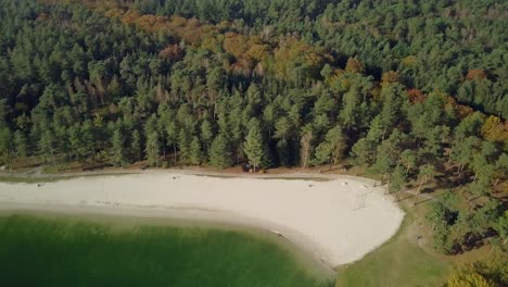 Aerial-drone-view-at-the-white-sandy-lake-near-the-big-forest-in-the-Netherlands,-Europe