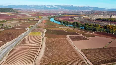 Vineyard-with-grapevines-for-wine-production-in-La-Rioja,-Spain-between-a-railway-and-a-river-and-mountains-in-the-background