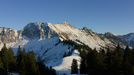 Nadelwald-Und-Der-Gipfel-Von-La-Cape-Au-Moine-Im-Frühen-Winter-Im-Waadtland,-Schweiz---Luftdrohnenaufnahme