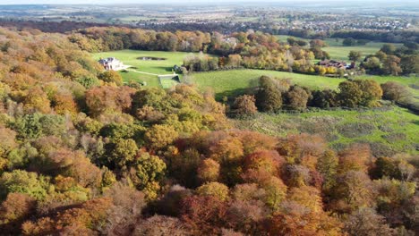 Bosque-De-Epping-Inglaterra-Theydon-Bois-En-La-Distancia-Reino-Unido-En-Otoño-Colores-Vibrantes-Del-árbol-Día-Soleado-Drone-Aéreo