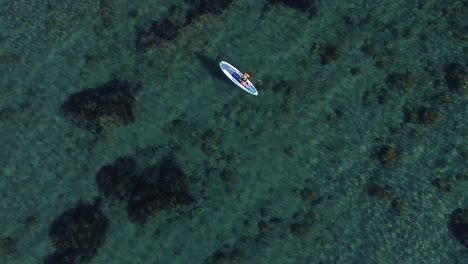 Bird's-eye-view-of-a-person-paddleboarding-in-clear-tropical-waters