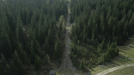 Deserted-old-ski-lift-through-evergreen-pine-forest-on-sunny-day,-Slovenia,-aerial