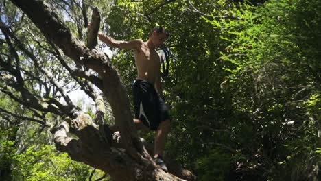 Young-man-descending-from-slanted-tree-over-hiking-trail,-slow-motion