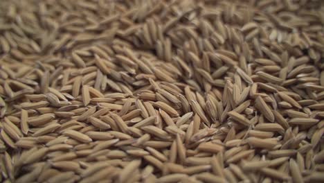 In-Den-Meisten-Teilen-Der-Welt-Wird-Reis-Als-Grundnahrungsmittel-Verwendet