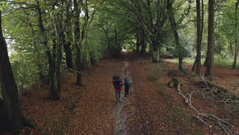 National-trail-called-the-South-Downs-Way,-which-is-walked-by-two-people-with-backpacks-and-trekking-poles-through-a-deciduous-forest