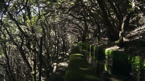 Moving-down-tree-covered-levada-aqueduct-trail-on-Madeira-Portugal,-slow-motion