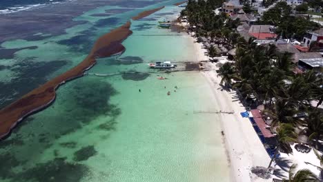 Luftaufnahme-Von-Sargassum-Barrieren-An-Einem-Strand-In-Der-Mexikanischen-Karibik