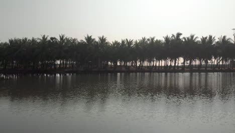Side-motion-shot-of-numerous-palm-trees-along-the-calm-waters-of-beach-with-beautiful-reflection-in-water