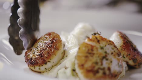 Chef-putting-fresh-cooked-scallops-onto-plate