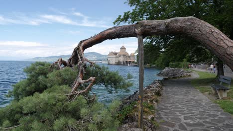 Wonder-tree-facade-at-lake-Geneva-Chillon-Castle-Switzerland