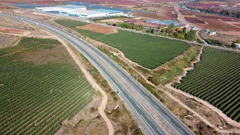 A-road-between-grapevines-for-wine-production-in-a-vineyard-close-to-a-river-in-La-Rioja,-Spain