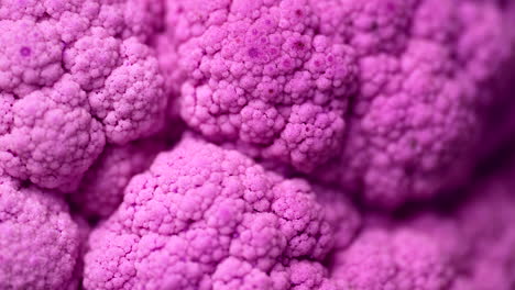 Makroansicht-Von-Natürlich-Gewachsenem-Violettem-Blumenkohl-Mit-Reichhaltigen-Antioxidantien,-Die-In-Lebendigen-Farben-Ausgestellt-Werden