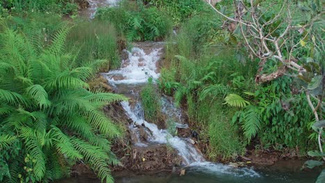 Wasserfälle-Entlang-Der-Berge-Fließen-Auf-Natürliche-Weise-Um-Die-Grünfläche