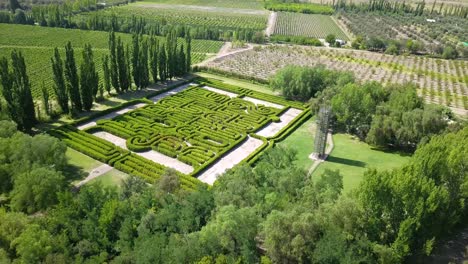 People-looking-for-the-way-out-in-bushes-maze
