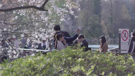 Una-Dulce-Pareja-Japonesa-Disfruta-Tomándose-Selfies-En-Flores-De-Sakura-Durante-La-Temporada-En-Tokio,-Japón---Tele-Tiro