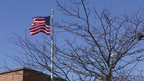 Eine-US-Flagge-Weht-Neben-Einem-Kahlen-Baum-In-Brooklyn,-New-York