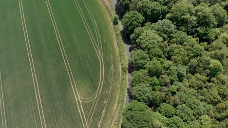 Aerial-view-over-cyclist-riding-country-lanes-Wombwell-Woods-Barnsley