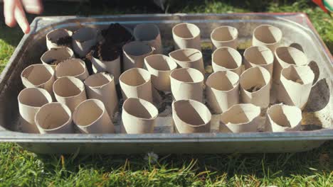 Füllen-Von-Toilettenpapier-Kartonröhren-Mit-Kompost-Zur-Aussaat-Von-Samen