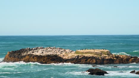 Pescadero-state-beach-and-cliffs-number-three
