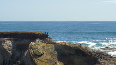 Seabirds-Sitting-on-Cliff-over-ocean-bay-with-waves
