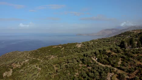 Olivenbäume-Auf-Hügelterrassen-über-Dem-Endlosen-Meereshorizont-An-Der-Wunderschönen-Küste-Albaniens