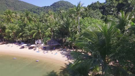 Aerial-pan-out-shot-of-a-tropical-beach-with-coconut-trees-and-tourists-sunbathing