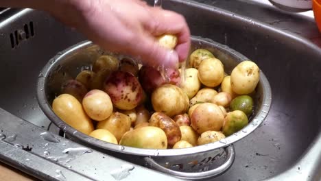 Hand-ashing-colourful-mixed-assortment-of-homegrown-potatoes-in-silver-kitchen-strainer