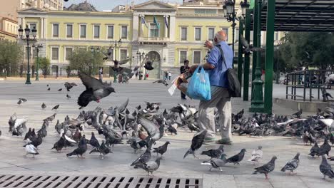 Ein-Taubenschwarm-Auf-Einem-Platz-Im-Stadtzentrum-Von-Athen-Griechenland