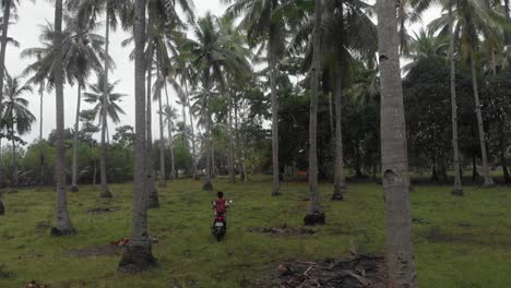 Ein-Roller-Fährt-Durch-Einen-Palmenwald-Auf-Der-Insel-Siquijor-Auf-Den-Philippinen