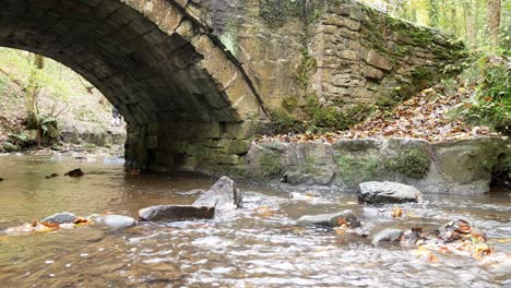 Flowing-Autumnal-woodland-forest-stream-stone-arch-bridge-wilderness-foliage-low-angle