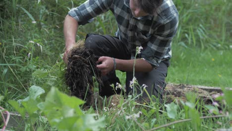 Young-caucasian-man-harvesting-organic-potatoes-pulling-up-stalk