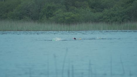 Group-of-three-open-water-swimmers-swimming-on-river